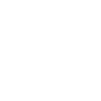 Satellite